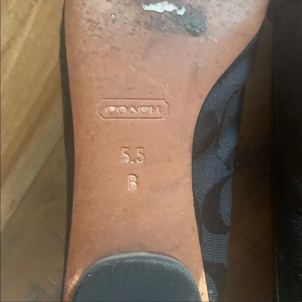 Coach - Picture 5 of 6